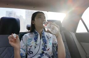 【李大侠】被驯服的空姐之十一 网约车司机TK